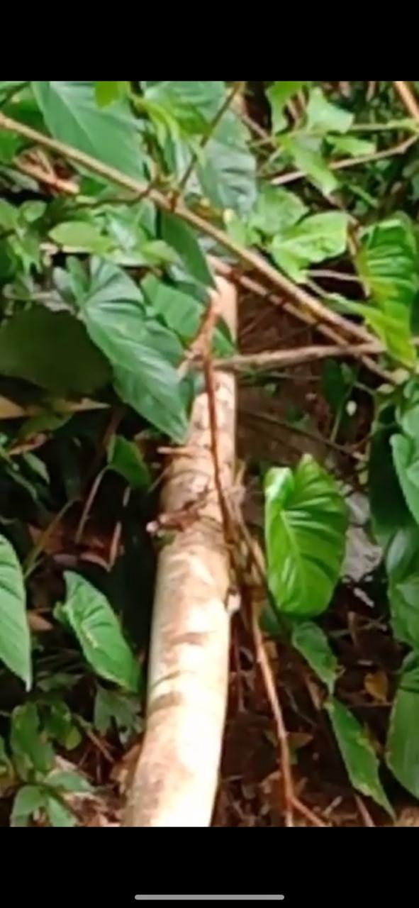 Info berita,Layanan PDAM,Kegiatan PDAM,gangguan layanan pdam,Berita PDAM,PERUMDA AMTS,PERUMDA AMTS Kabupaten Gianyar