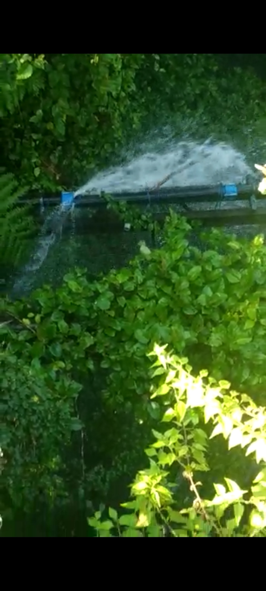 Info berita,Layanan PDAM,Kegiatan PDAM,gangguan layanan pdam,Berita PDAM,PERUMDA AMTS,PERUMDA AMTS Kabupaten Gianyar