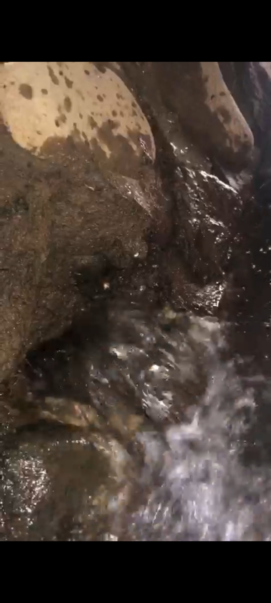 Info berita,Layanan PDAM,Kegiatan PDAM,gangguan layanan pdam,Berita PDAM,PERUMDA AMTS,PERUMDA AMTS Kabupaten Gianyar